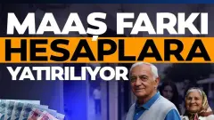 Maaş Farkları Hesaplara Geçiyor 4C Emeklisi İçin 6 Şubatta Yatacak Ek Ödeme Tutarları ve Sorgulama Ekranı
